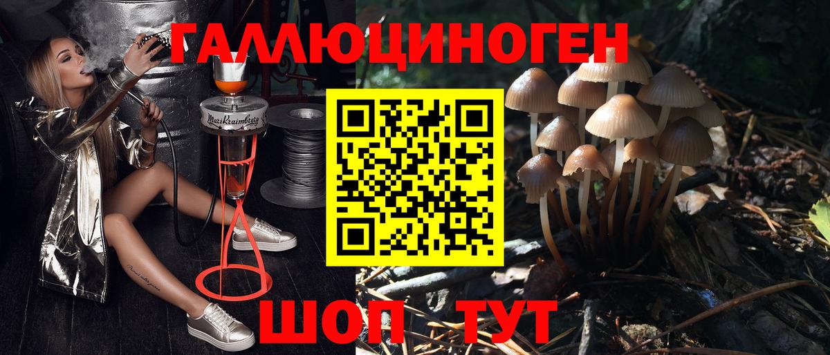 Галлюциногенные грибы мицелий Радужный