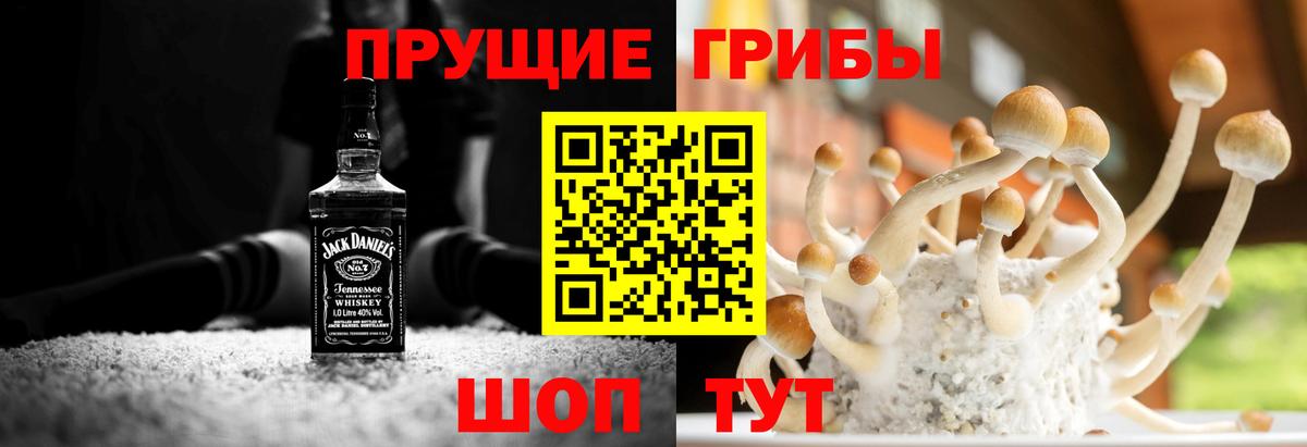 Псилоцибиновые грибы Cubensis  Вход с VPN  Радужный  Галлюциногенные грибы прущие грибы 